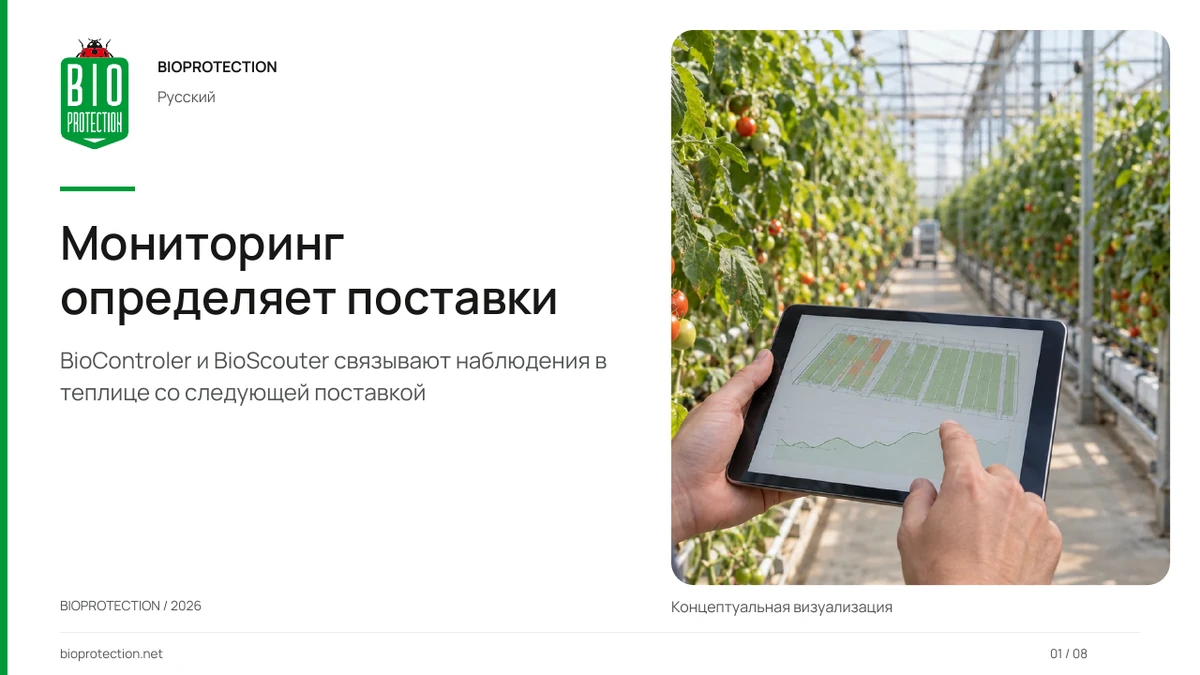Мониторинг, который направляет поставки