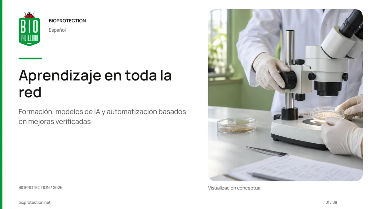 Formación, IA y la red