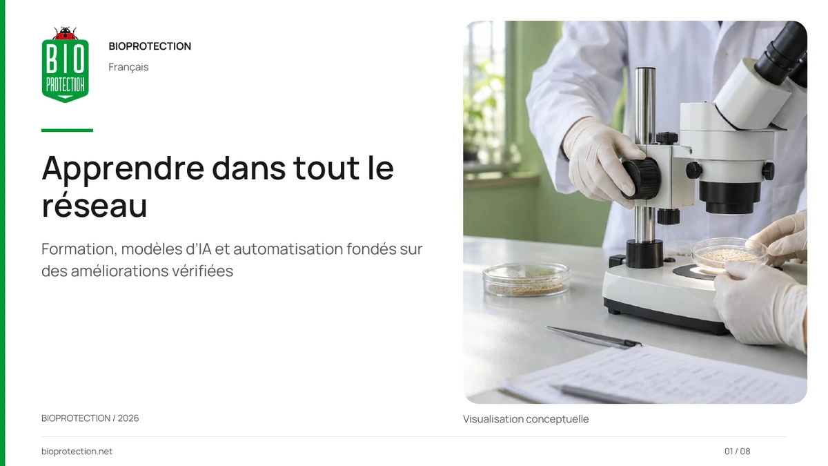 Formation, IA et réseau