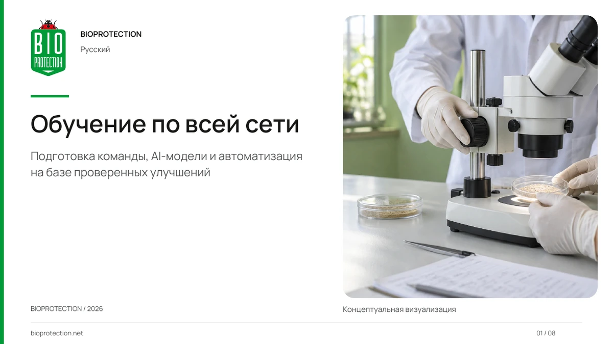 Обучение, AI и сеть